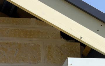soffit repair Revesby